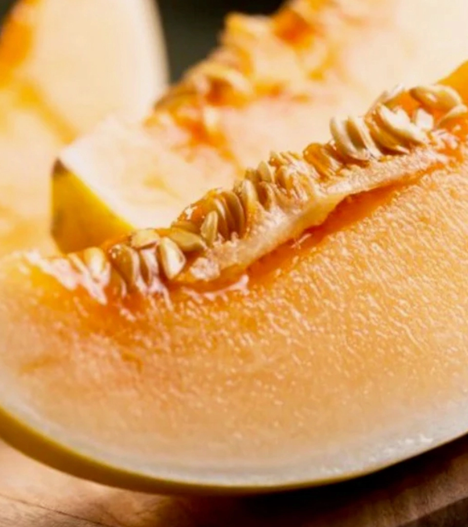 Fresh melon slices